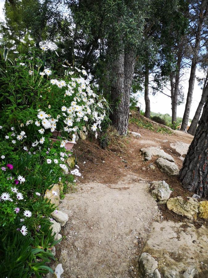 Apartamento Entre La Playa Y La Montana Calafell Zewnętrze zdjęcie